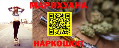 индика Камышлов