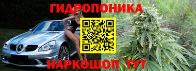 тгк Канаш