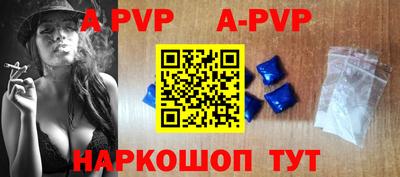 индика Камышлов