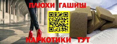 индика Камышлов