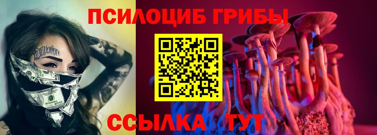 Галлюциногенные грибы GOLDEN TEACHER  Вход с VPN  Липецк  хочу наркоту  Псилоцибиновые грибы ЛСД 